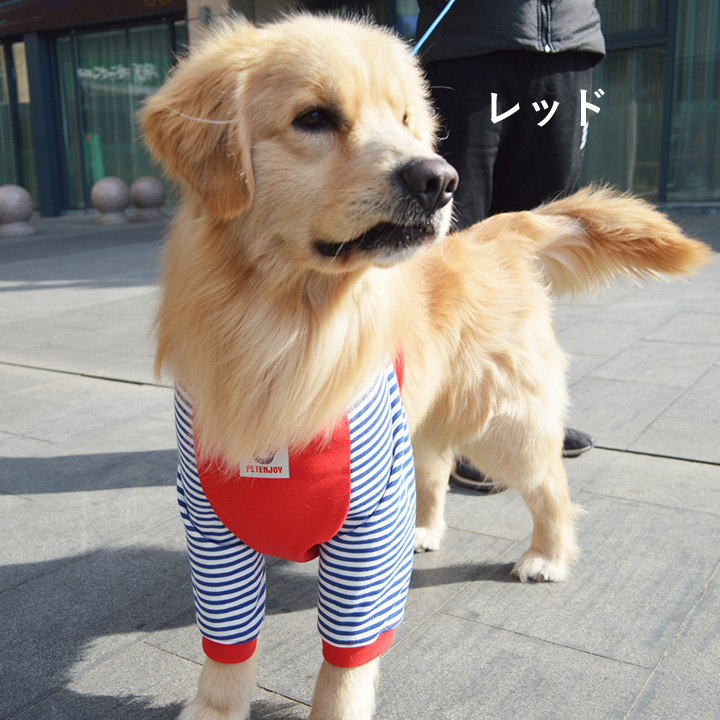 チヨ口犬 半幅帯 8本まとめ売り 幅広、長め 柔らかく軽いタイプ 着物 楽天市場】犬（種類（帯）半幅帯）（和服｜レディース