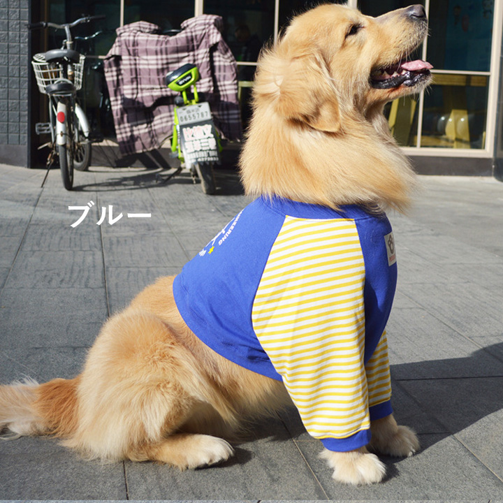 はっぴーDOG 犬 服 犬服 犬の服 大型犬 Tシャツ カットソー ボーダー