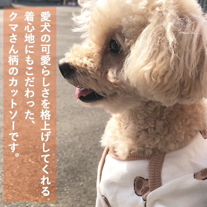 はっぴーDOG 犬 服 秋冬 秋 冬 夏 犬服 犬の服 おしゃれ Tシャツ