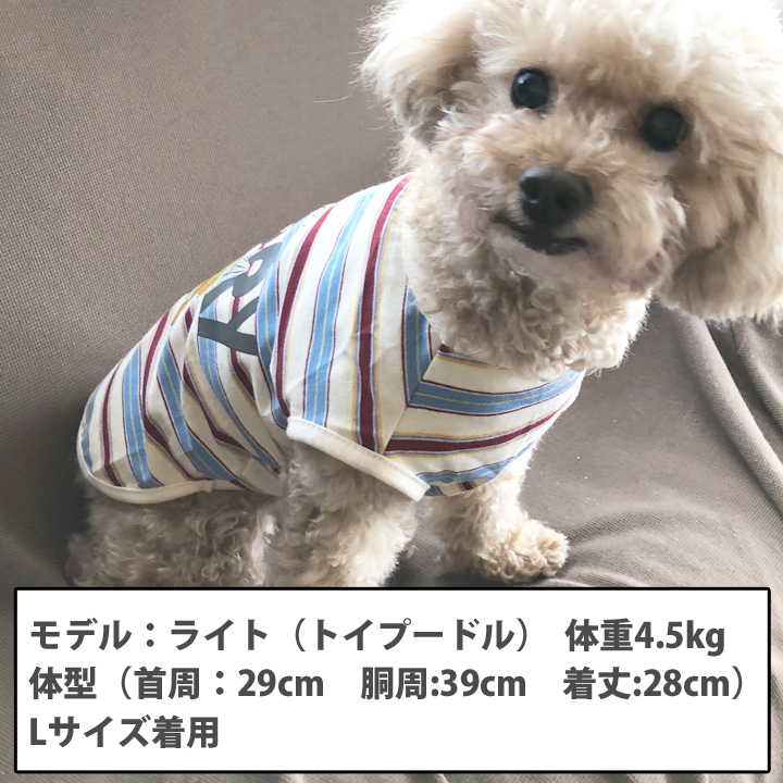 はっぴーDOG 犬 服 秋冬 秋 冬 夏 犬服 犬の服 おしゃれ タンクトップ