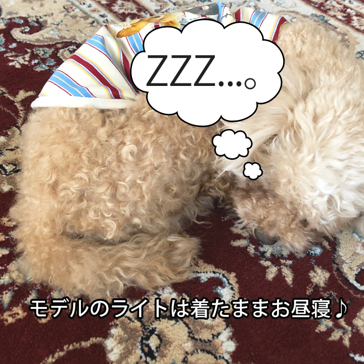 はっぴーDOG 犬 服 秋冬 秋 冬 夏 犬服 犬の服 おしゃれ タンクトップ