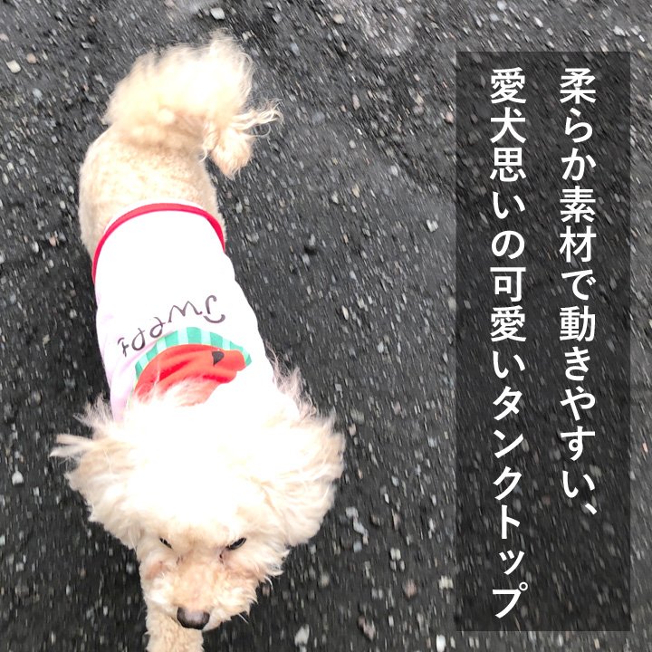 はっぴーDOG 犬 服 夏 犬服 いぬ 犬の服 タンクトップ 着せやすい