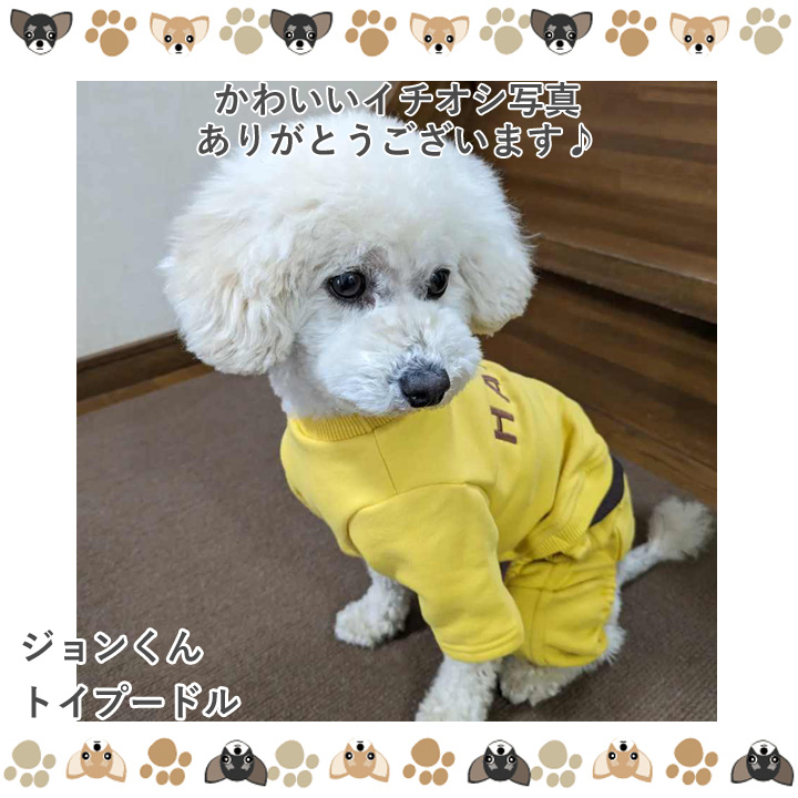 犬服 犬 服 はっぴーDOG おしゃれ 可愛い 安い