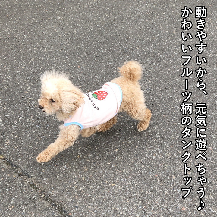 はっぴーDOG 犬 服 夏 犬服 いぬ 犬の服 タンクトップ フルーツ柄 袖