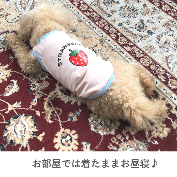 はっぴーDOG 犬 服 夏 犬服 いぬ 犬の服 タンクトップ フルーツ柄 袖