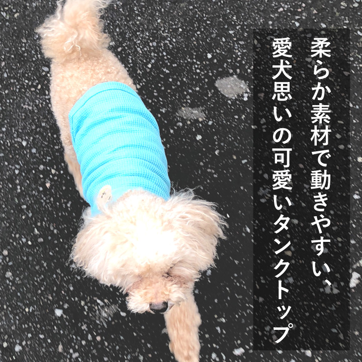 はっぴーDOG 犬 服 秋冬 秋 冬 犬服 いぬ 犬の服 タンクトップ 袖なし