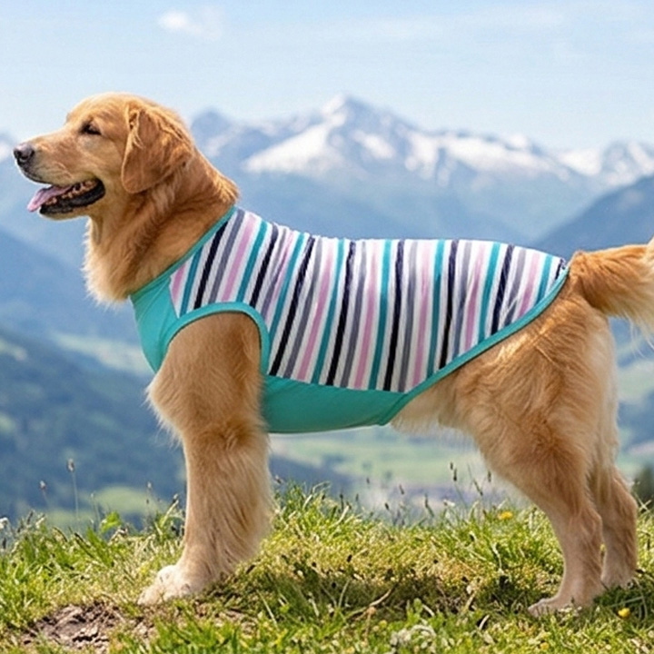 はっぴーDOG 犬 服 犬服 犬の服 大型犬 タンクトップ ボーダー 袖なし