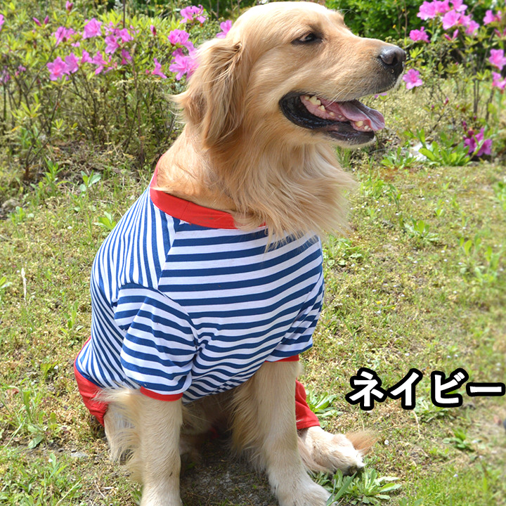 大型犬服 クールロンパース 【専用】 楽天市場】クール ロンパース大型犬の通販