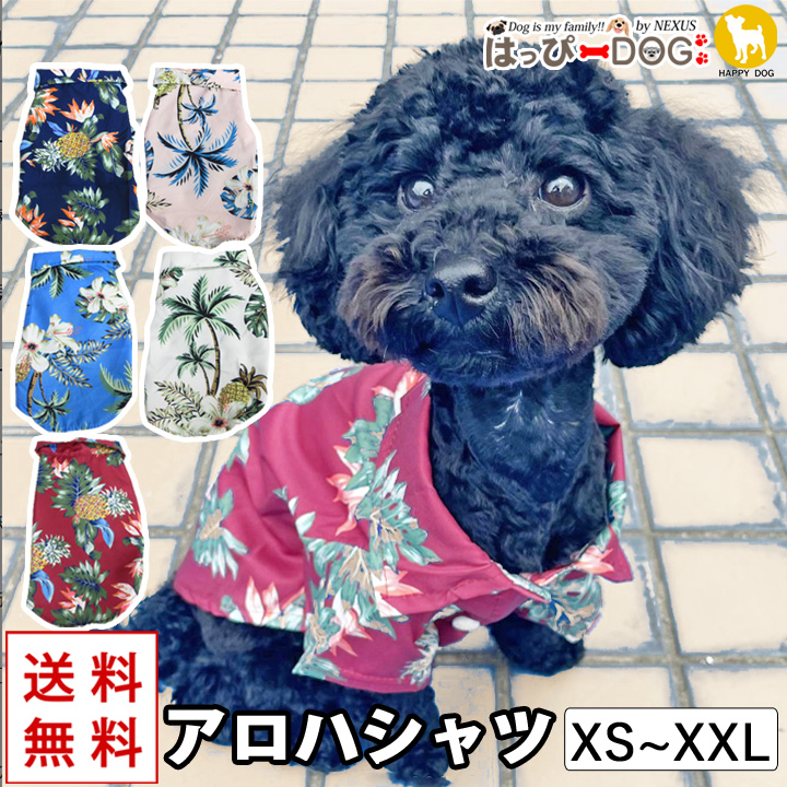 【2025】お歳暮・冬ギフト md33281.jpg 犬服・アクセサリー