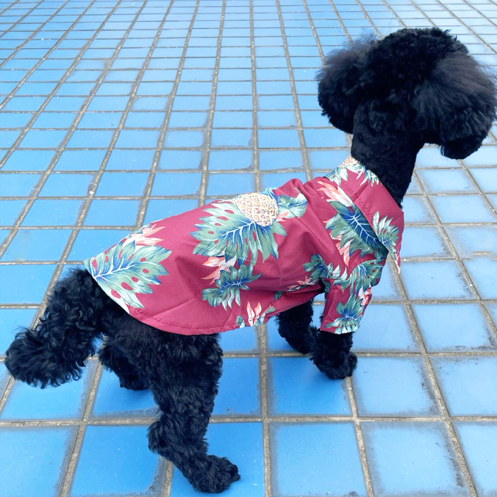 はっぴーDOG 犬 服 犬服 いぬ 犬の服 アロハシャツ アロハ