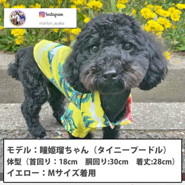はっぴーDOG 犬 服 犬服 いぬ 犬の服 アロハシャツ アロハ
