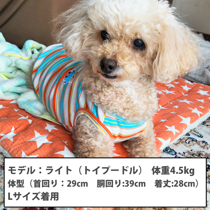 はっぴーDOG 犬 服 犬服 いぬ 犬の服 着せやすい タンクトップ