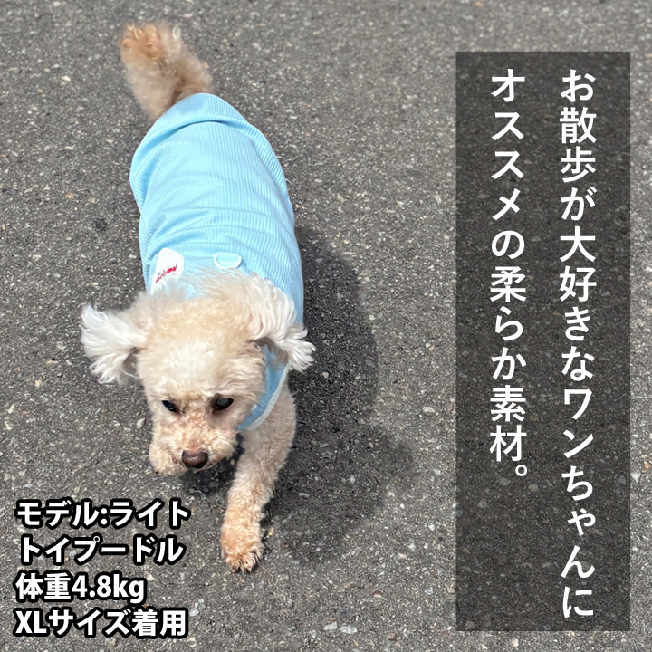 はっぴーDOG 犬 服 犬服 いぬ 犬の服 着せやすい タンクトップ Dカン