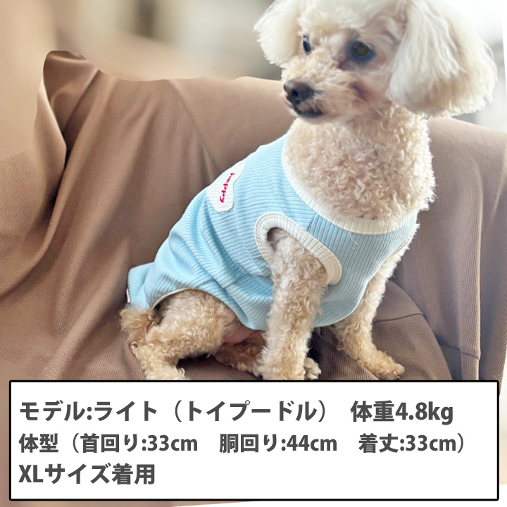 はっぴーDOG 犬 服 犬服 いぬ 犬の服 着せやすい タンクトップ Dカン