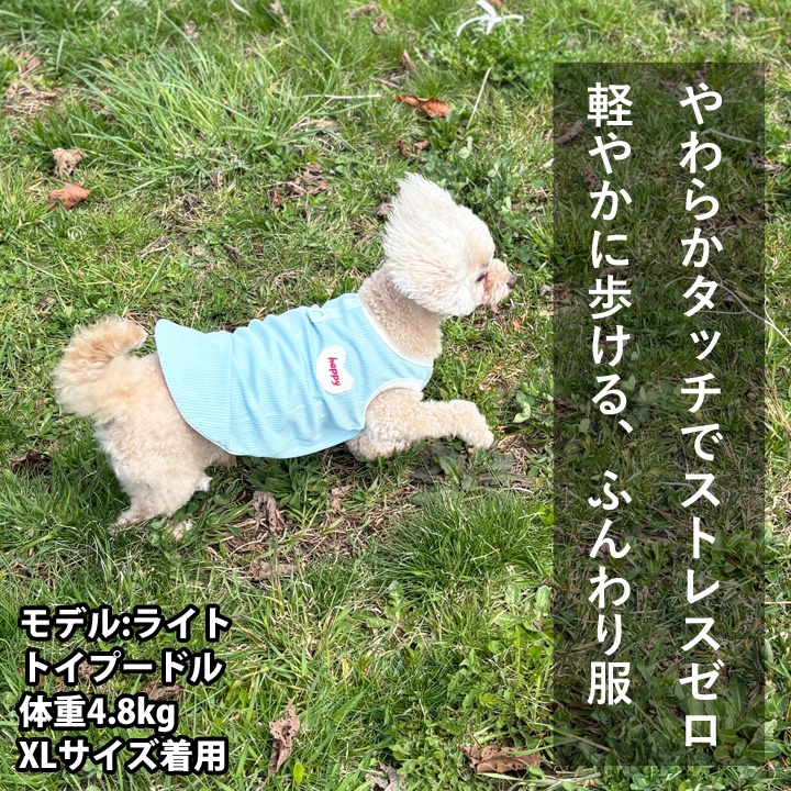 はっぴーDOG 犬 服 犬服 いぬ 犬の服 着せやすい タンクトップ Dカン