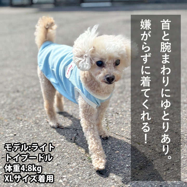 はっぴーDOG 犬 服 犬服 いぬ 犬の服 着せやすい タンクトップ Dカン
