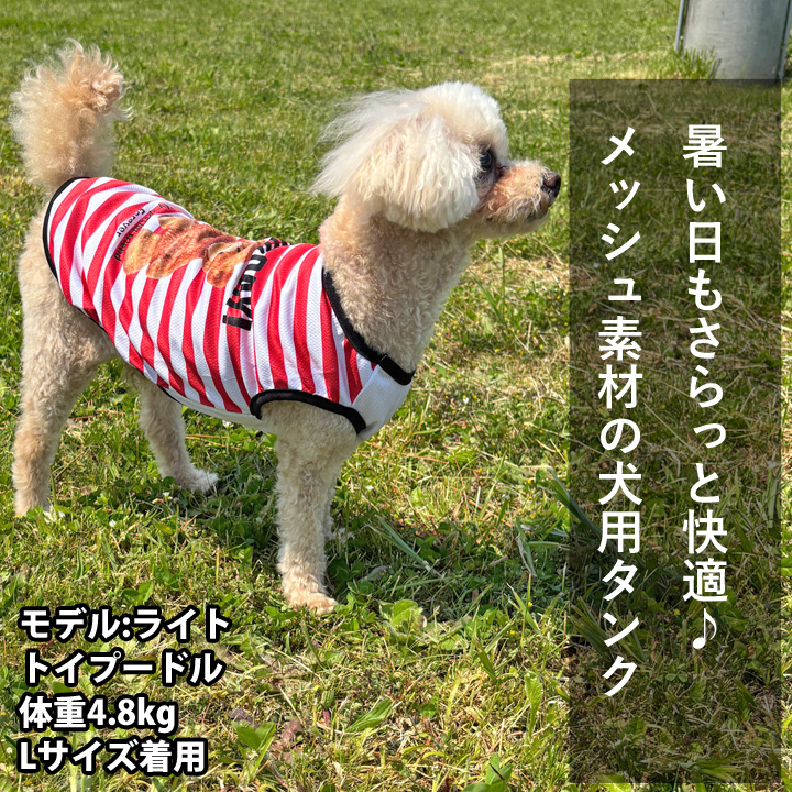 はっぴーDOG 犬 服 夏 メッシュ タンクトップ ボーダー くま クマ柄