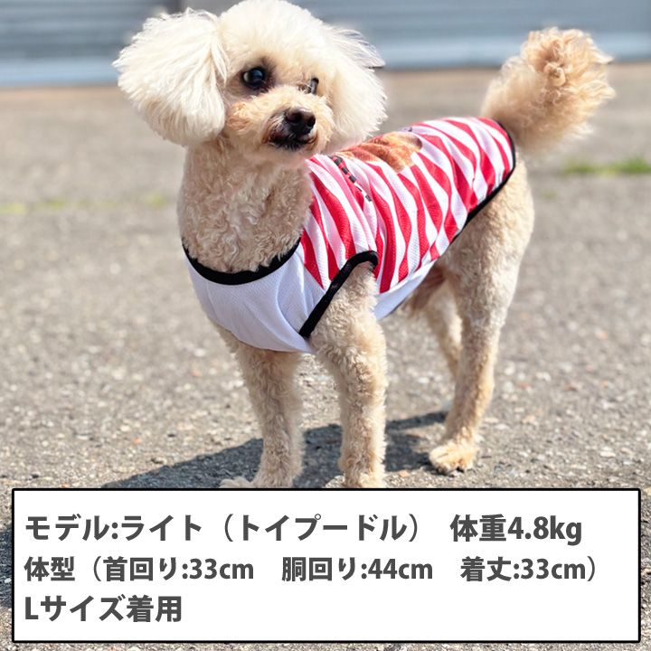 はっぴーDOG 犬 服 夏 メッシュ タンクトップ ボーダー くま クマ柄
