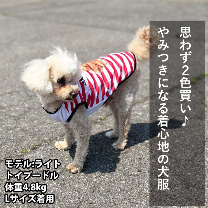 はっぴーDOG 犬 服 夏 メッシュ タンクトップ ボーダー くま クマ柄