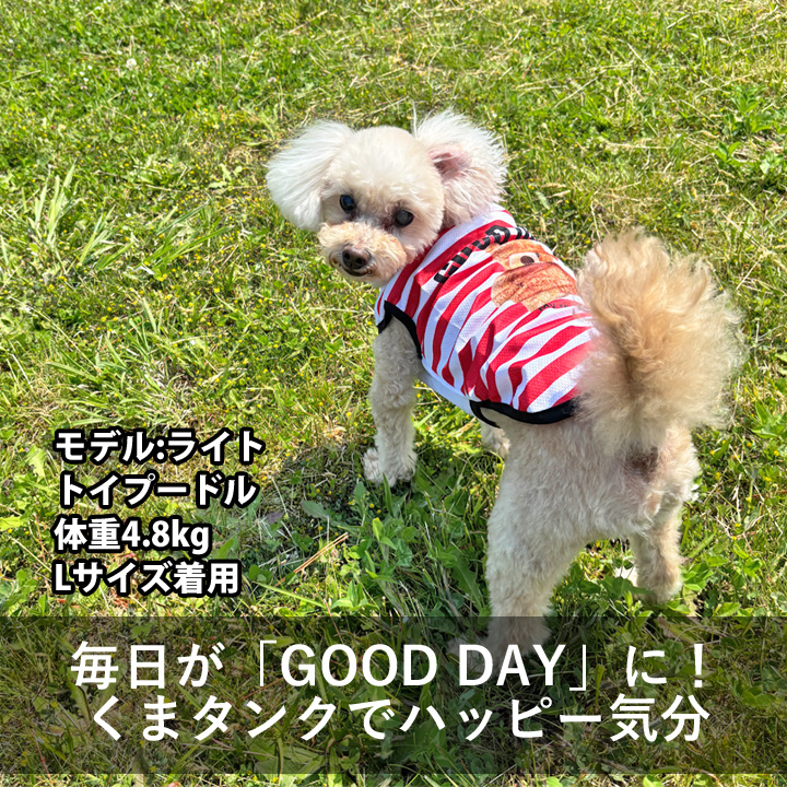 はっぴーDOG 犬 服 夏 メッシュ タンクトップ ボーダー くま クマ柄