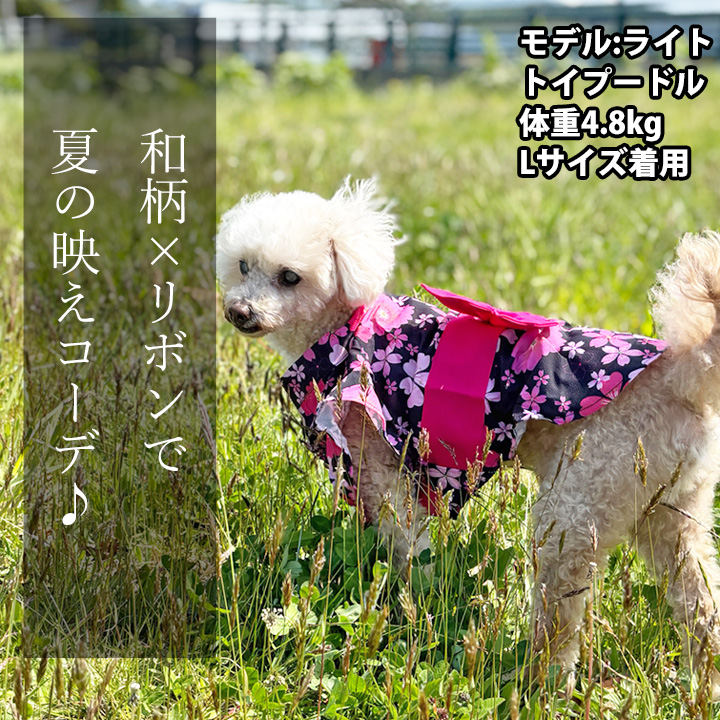 はっぴーDOG 犬 浴衣 ゆかた 服 犬服 いぬ 犬の服 男の子 女の子