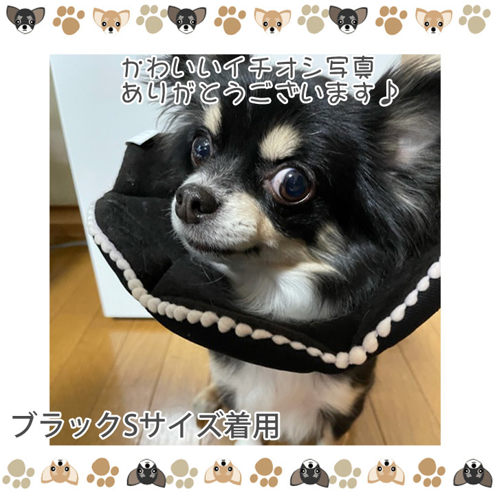 犬服 犬 服 はっぴーdog おしゃれ 可愛い 安い