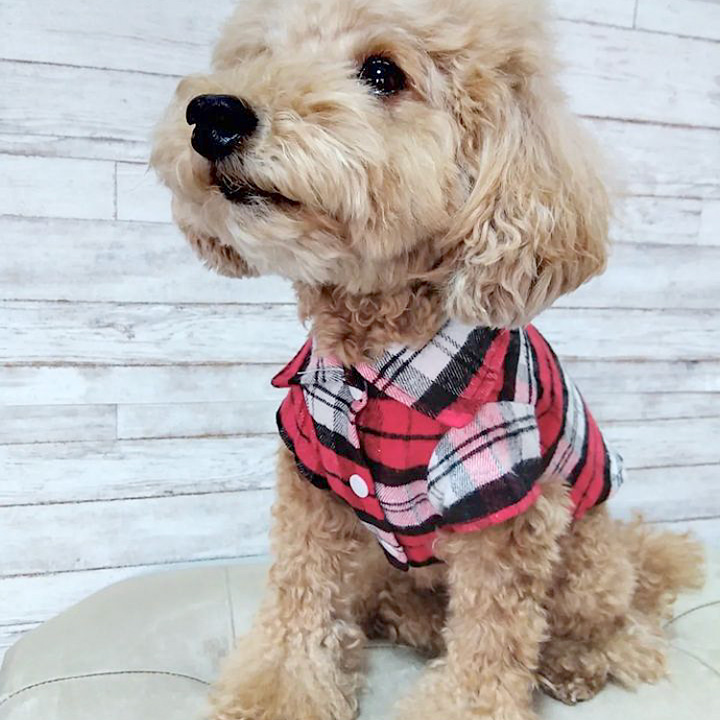 はっぴーDOG 犬服 犬 服 秋冬 秋 冬 犬の服 おしゃれ トイプードル