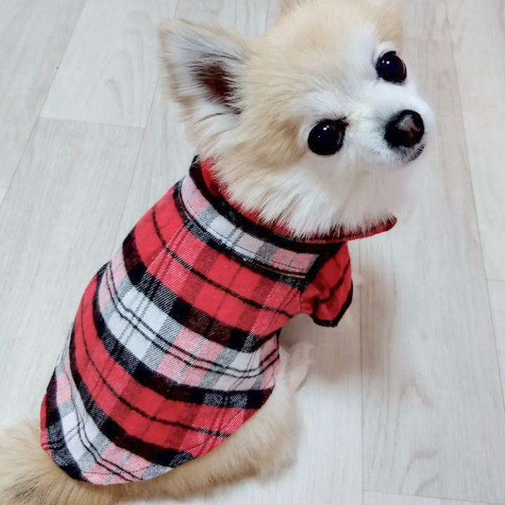 はっぴーDOG チワワ 服 犬 犬服 犬の服 いぬ 袖あり 長袖 半袖