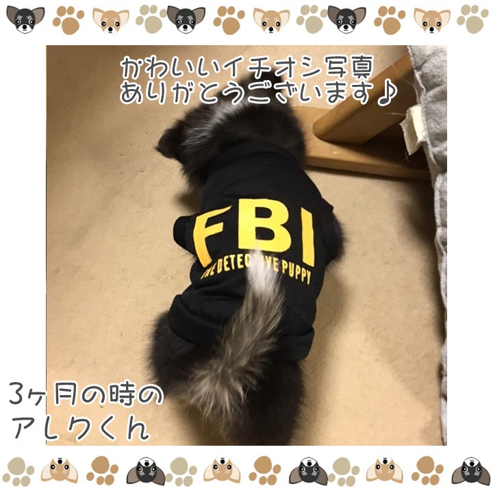 犬 服 犬服 犬の服 おしゃれ トイプードル チワワ ドッグウェア タンクトップ Fbi 送料無料 Md はっぴーdog本店 通販 Yahoo ショッピング