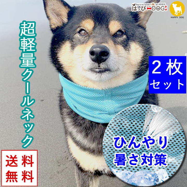 10個セット 犬服&buhipanicクールネック 新品未使用 中古 フレブル 10個セット 犬服&buhipanicクールネック 新品未使用 中古
