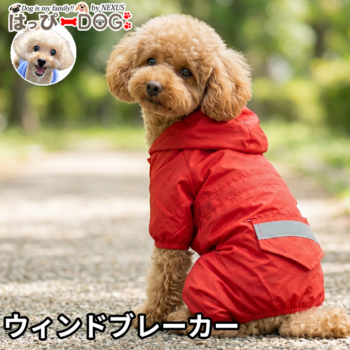 はっぴーDOG 1000円ポッキリ 犬服 犬 服 秋冬 秋 冬 犬の服 おしゃれ