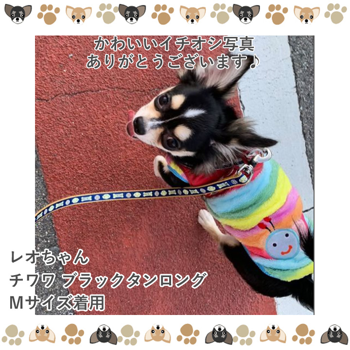 犬服 犬 服 はっぴーDOG おしゃれ 可愛い 安い