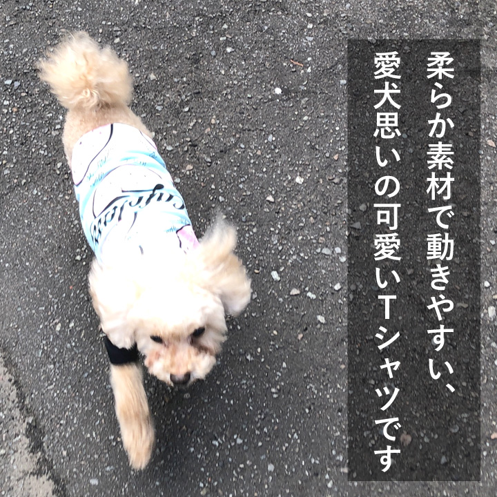 はっぴーDOG 犬 服 夏 犬服 犬の服 おしゃれ トイプードル チワワ