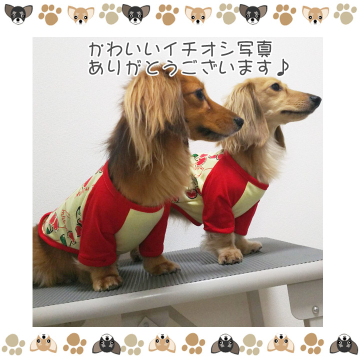 はっぴーDOG 犬 服 夏 犬服 犬の服 おしゃれ トイプードル チワワ