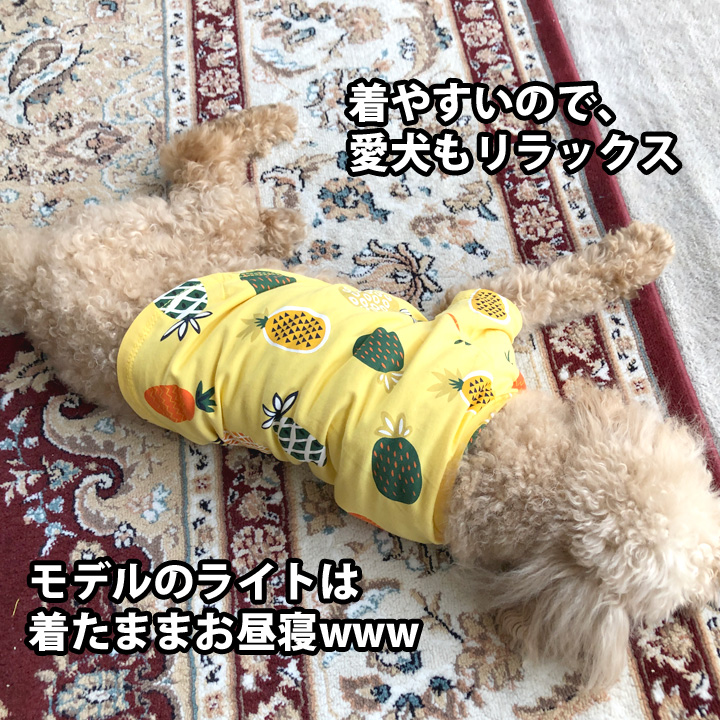 犬服・アクセサリー H&T はっぴーDOG 犬 服 夏 犬服 カットソー Tシャツ フルーツ柄 袖あり