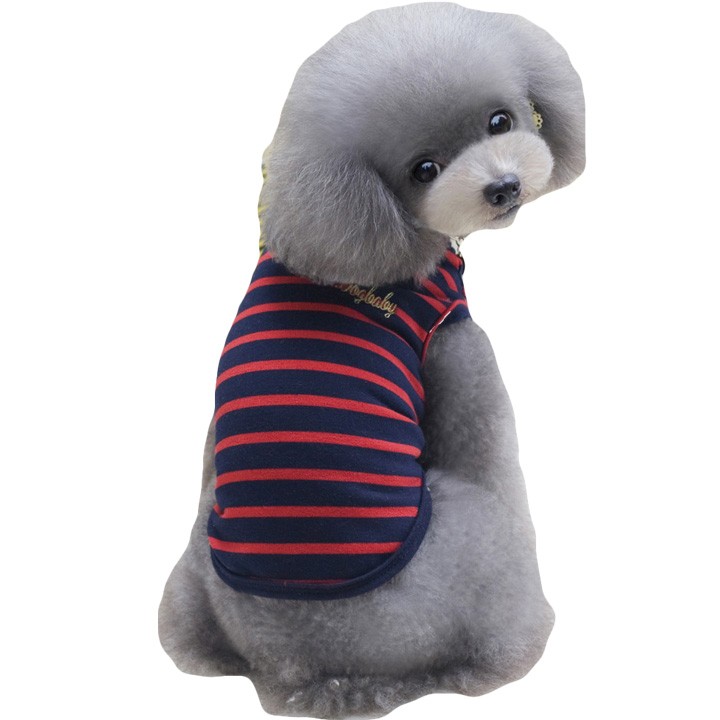 はっぴーDOG 犬 服 秋冬 秋 冬 夏 トイプードル 犬服 犬の服 おしゃれ