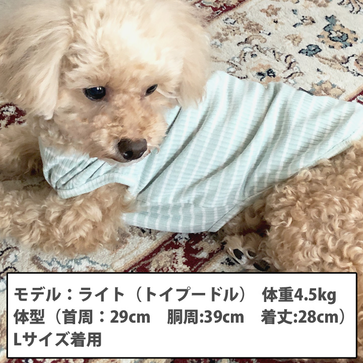 はっぴーDOG 犬 服 秋冬 秋 冬 夏 5枚全色セット 犬服 犬の服 おしゃれ