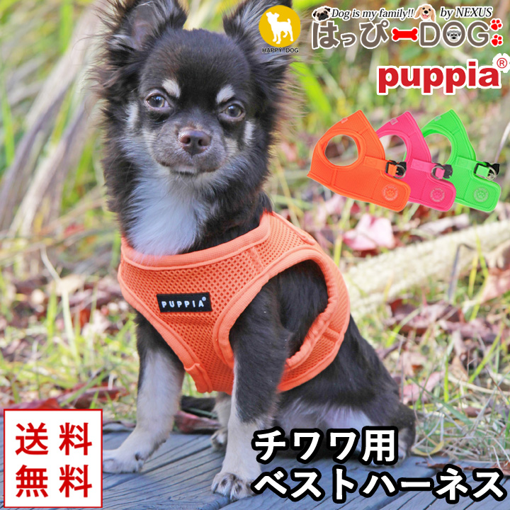 よくみる症例シリーズ 中・小型犬 パピーの疾患1（単行本） よくみる症例シリーズ 中・小型犬 パピーの疾患1｜EDUWARD eBook
