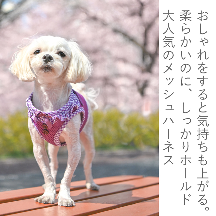 最初の PUPPIA パピア 正規品 リード 紐 犬服 いぬ 犬 服 犬の服 fisd.lk
