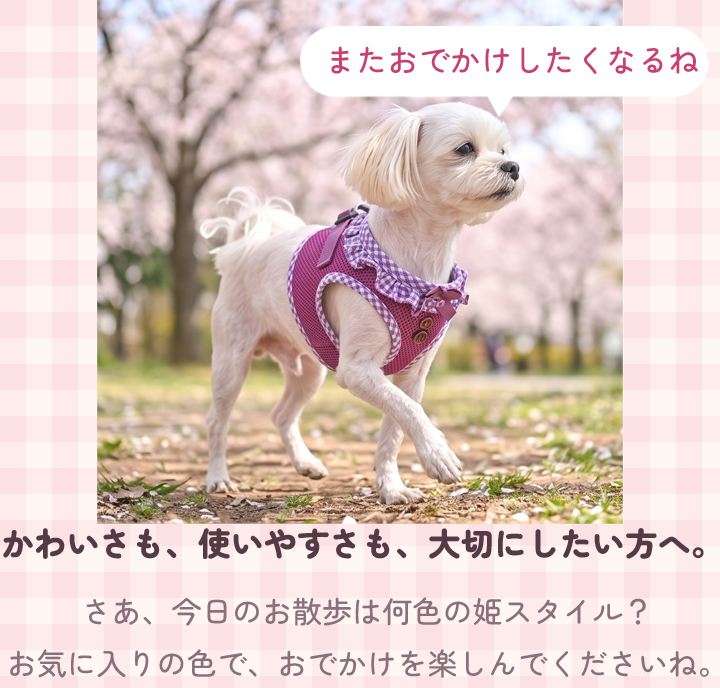 はっぴーDOG 犬 リード ハーネス セット 胴輪 犬 リボン フリル ふりふ