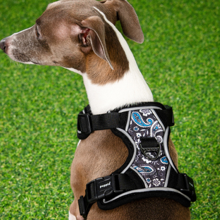 サイズL ベージュ puppia ハーネス付きダウンジャケット イタグレ 防寒 犬 服 夏 ハーネス 胴輪 イタグレ イタリアングレーハウンド