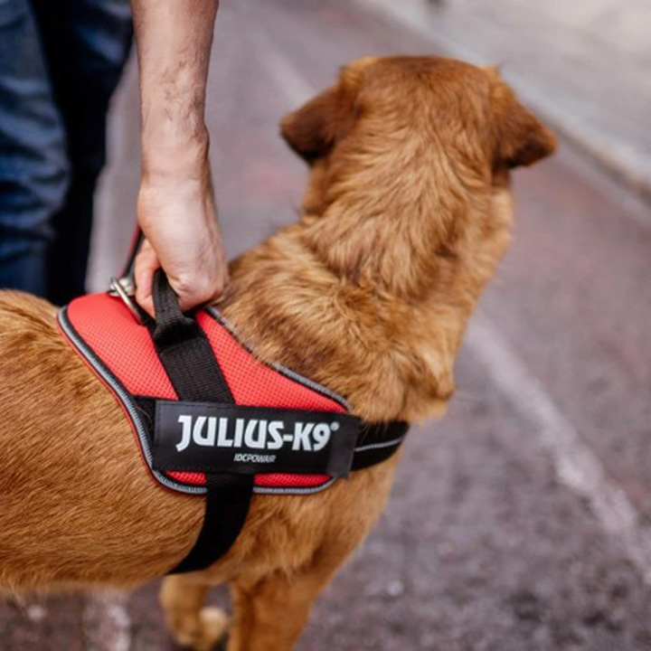 はっぴーDOG ハーネス 犬 Julius-K9 ユリウスケーナイン メッシュ