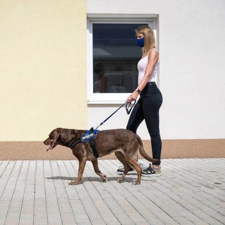 はっぴーDOG ハーネス 犬 Julius-K9 ユリウスケーナイン メッシュ