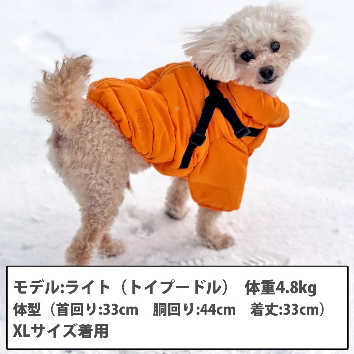 はっぴーDOG 犬 服 犬服 いぬ 犬の服 ジャケット リードセット