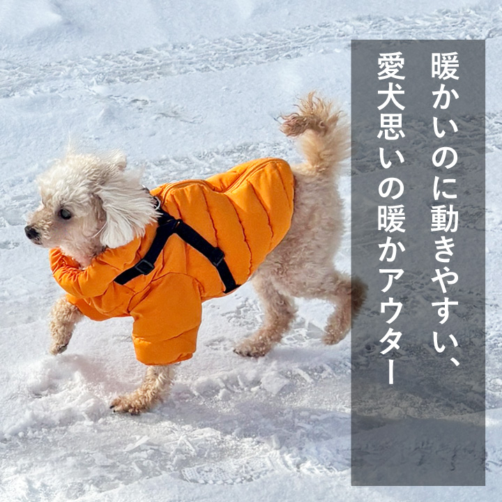はっぴーDOG 犬 服 犬服 いぬ 犬の服 ジャケット リードセット