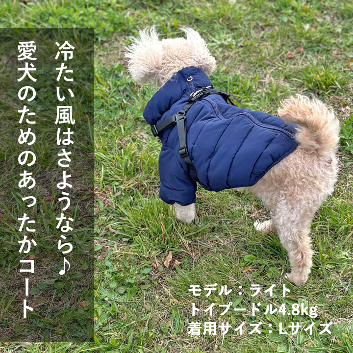 はっぴーDOG イタグレ冬服 イタグレ服 イタグレ イタリアン
