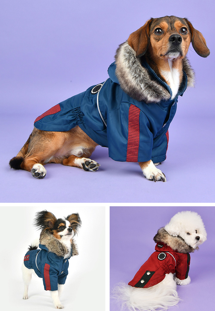 はっぴーDOG 犬 服 犬服 いぬ 犬の服 ジャケット コート ジャンパー