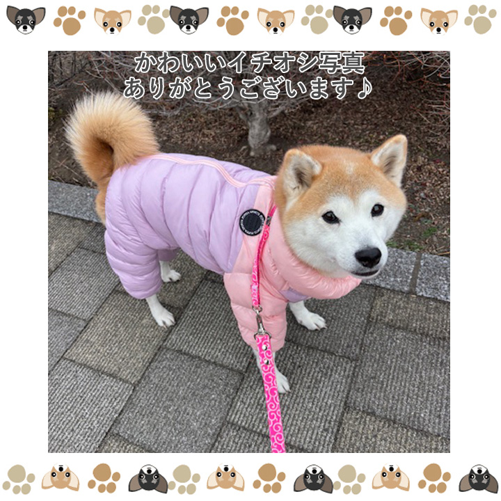 犬服 犬 服 はっぴーDOG おしゃれ 可愛い 安い