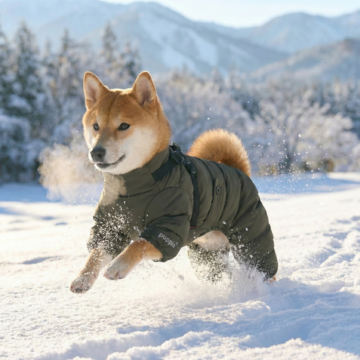 ヒッキーはぎ⭐︎犬服 オーバーオール Mサイズ ヒッキーはぎ⭐︎犬服 オーバーオール Mサイズ 楽天市場】コーギー