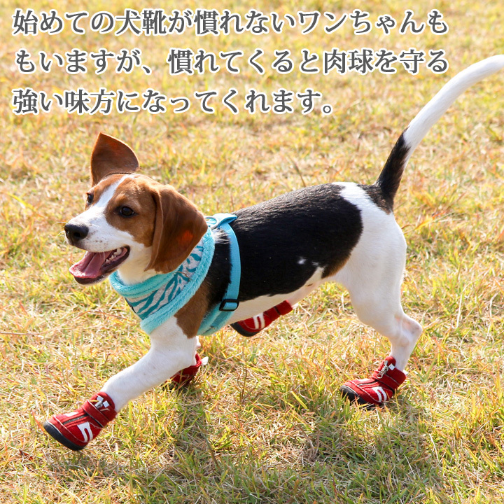 犬 靴同化している服 オファー